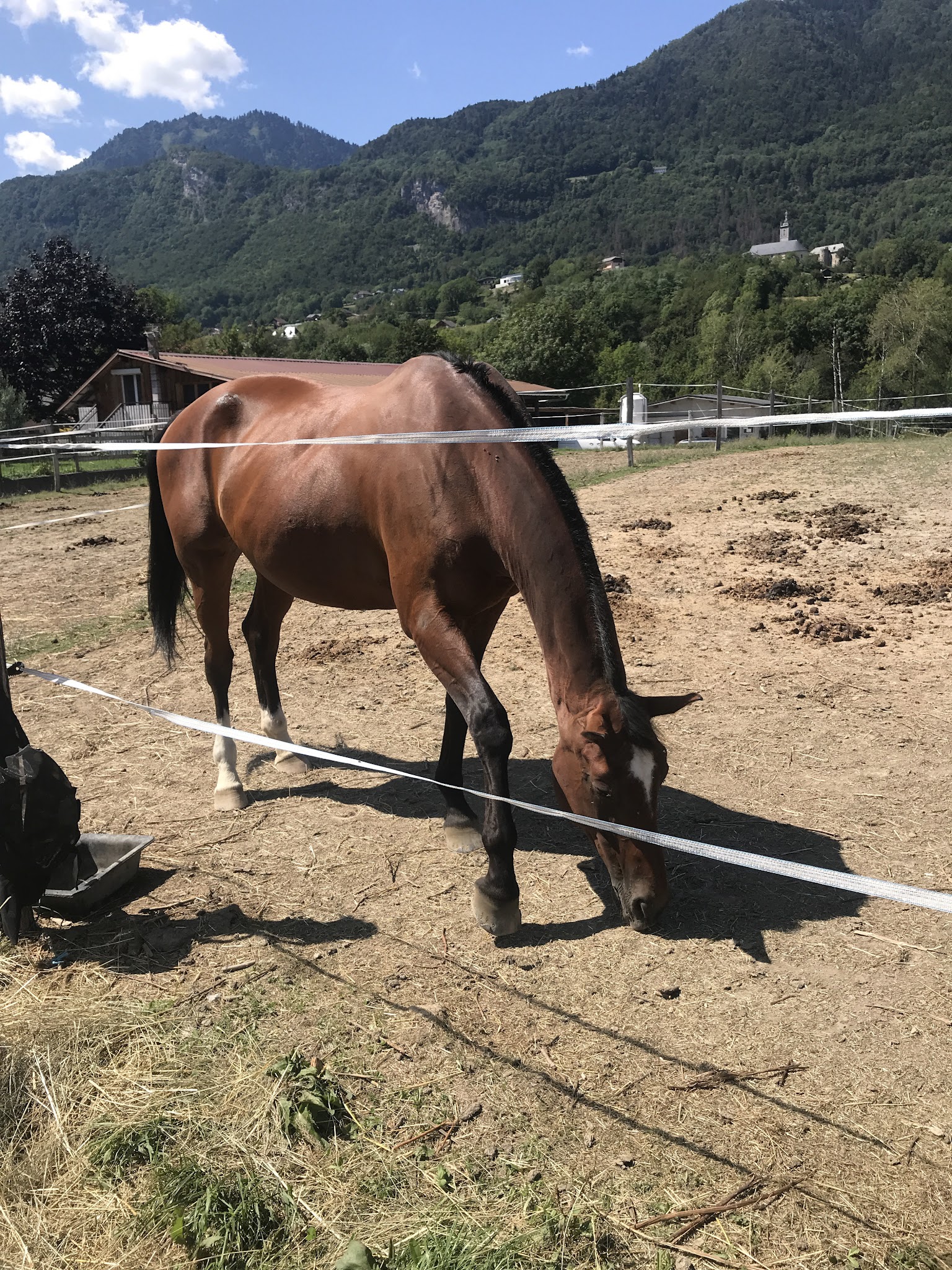 Élevage de l'Orisan — photo