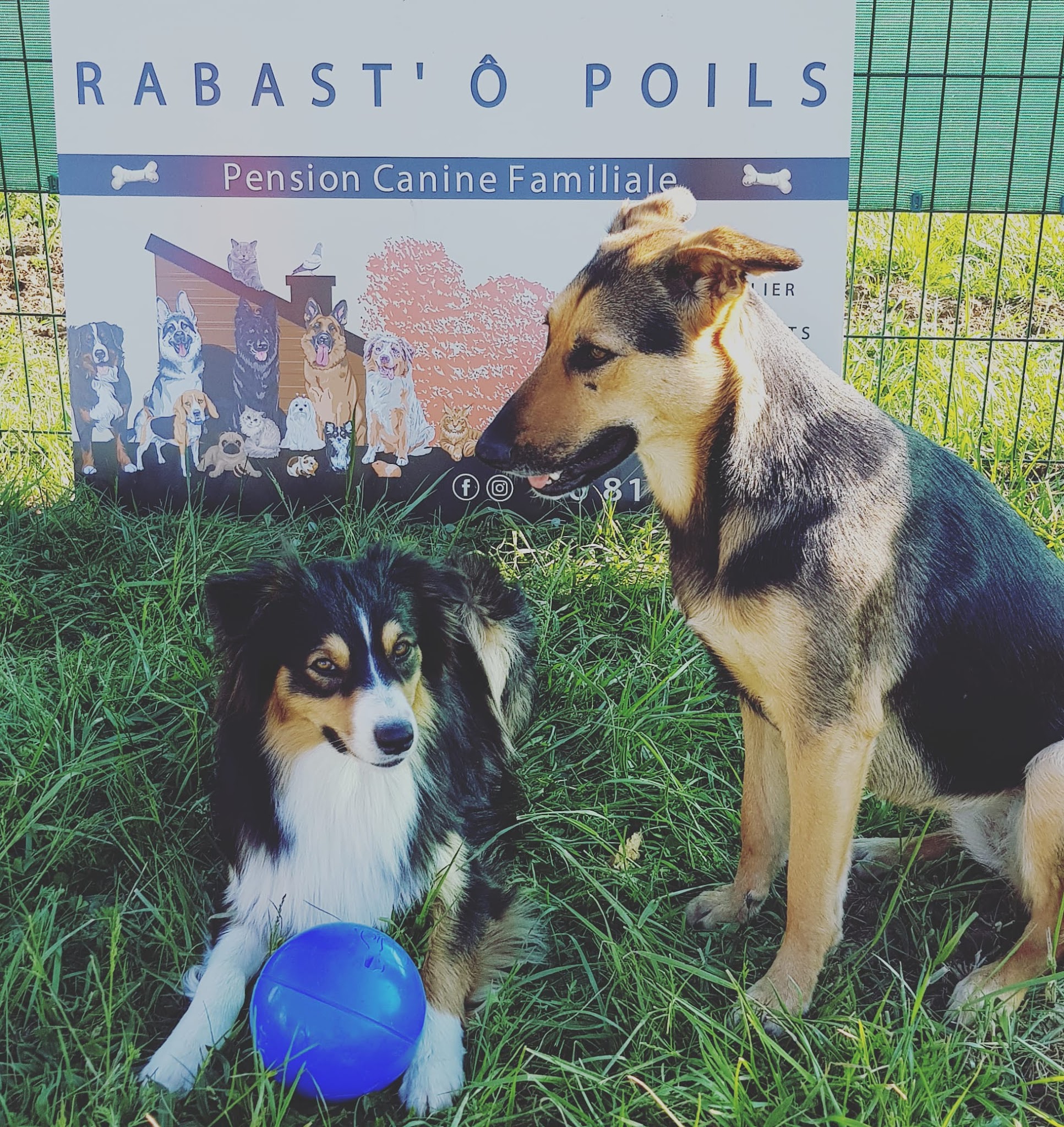 Rabast'ô poils