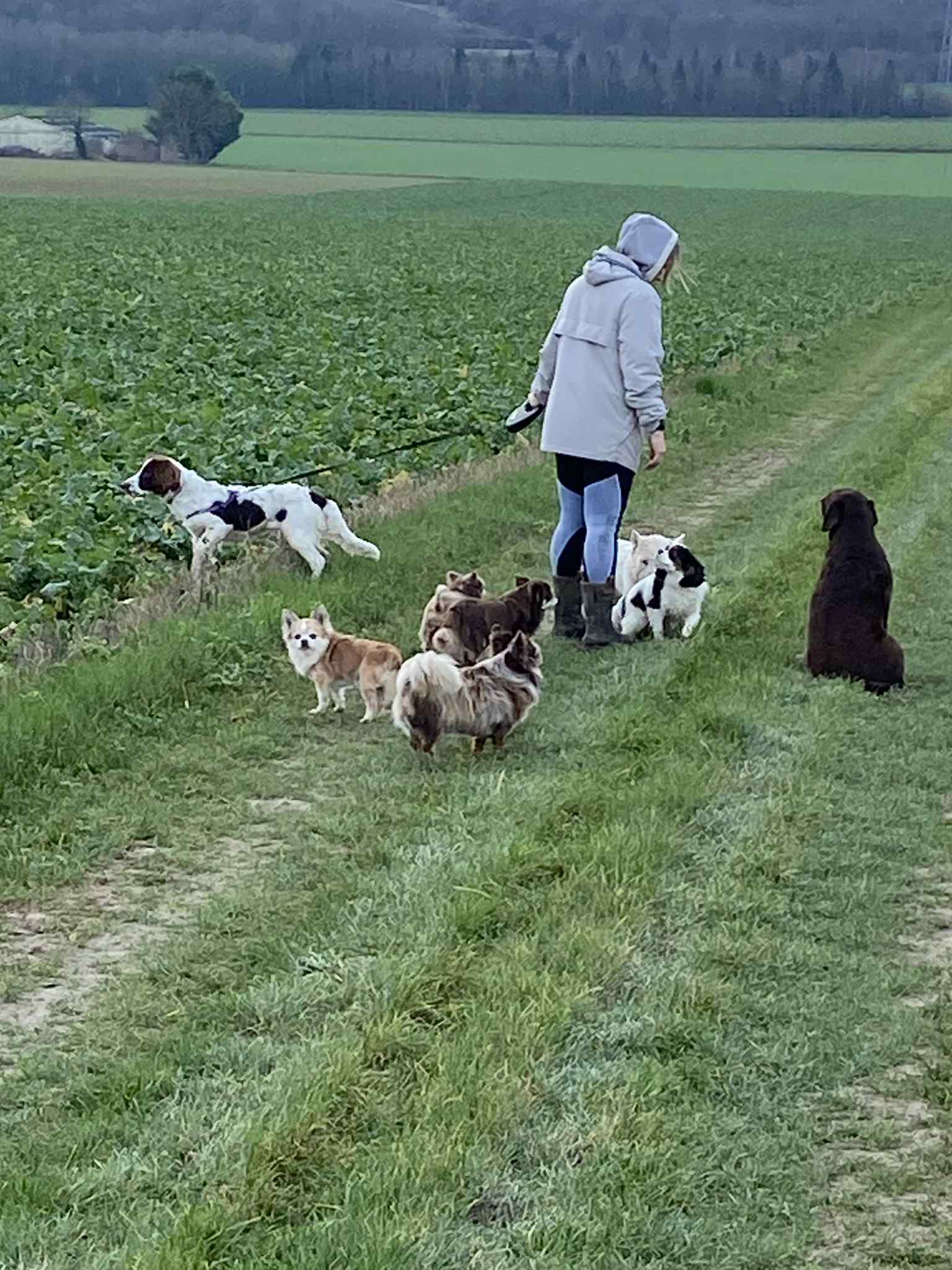Garde moi si tu peux Pépine — photo