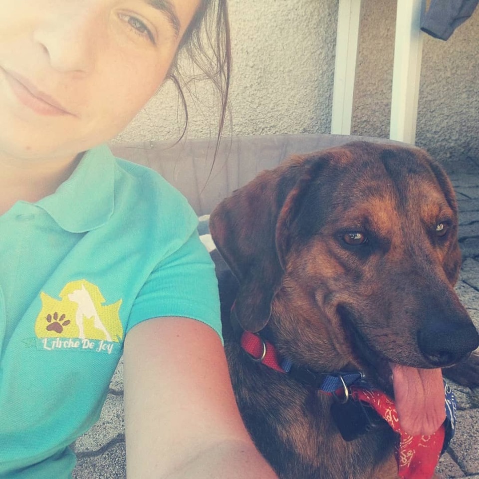 L'Arche de Joy -(Garde d'animaux au domicile des propriétaires - petsitting) — photo
