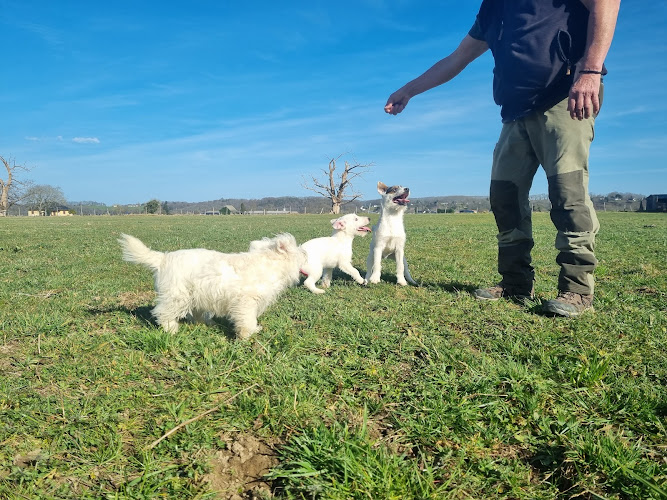 Elevage canin et pension des Elucines