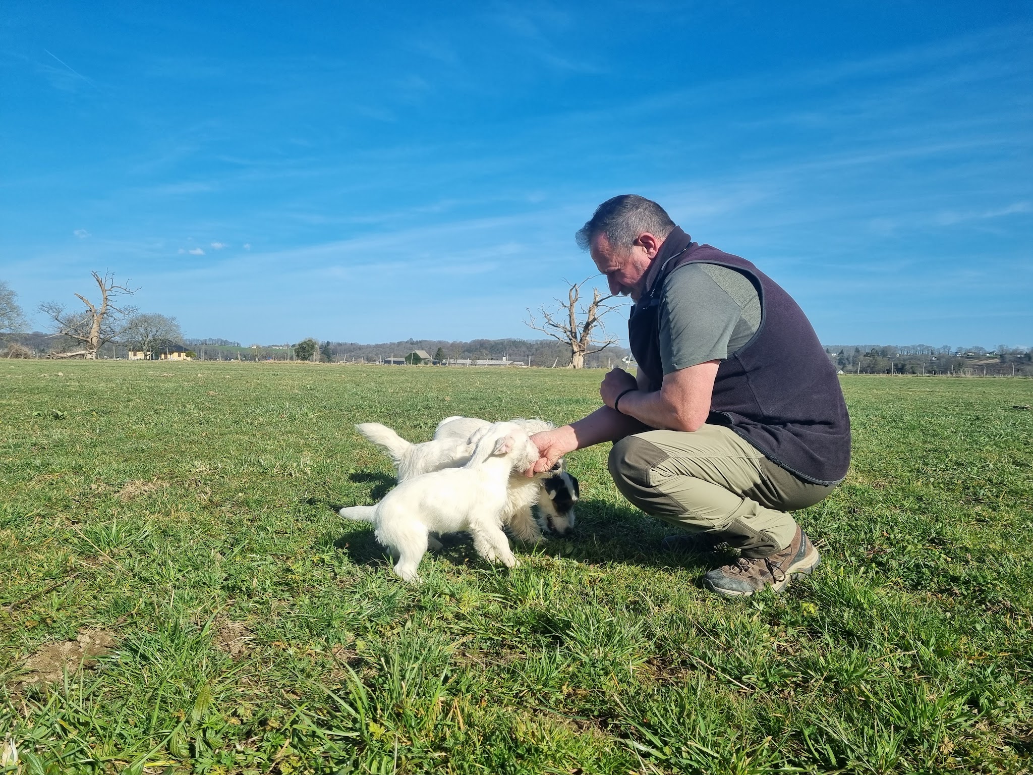 Elevage canin et pension des Elucines — photo