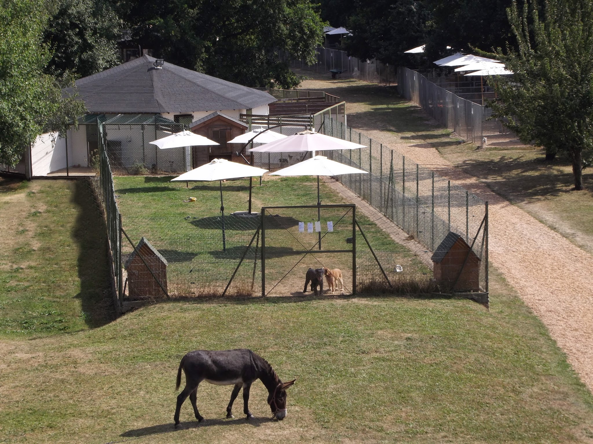 Aux Câlins Canins