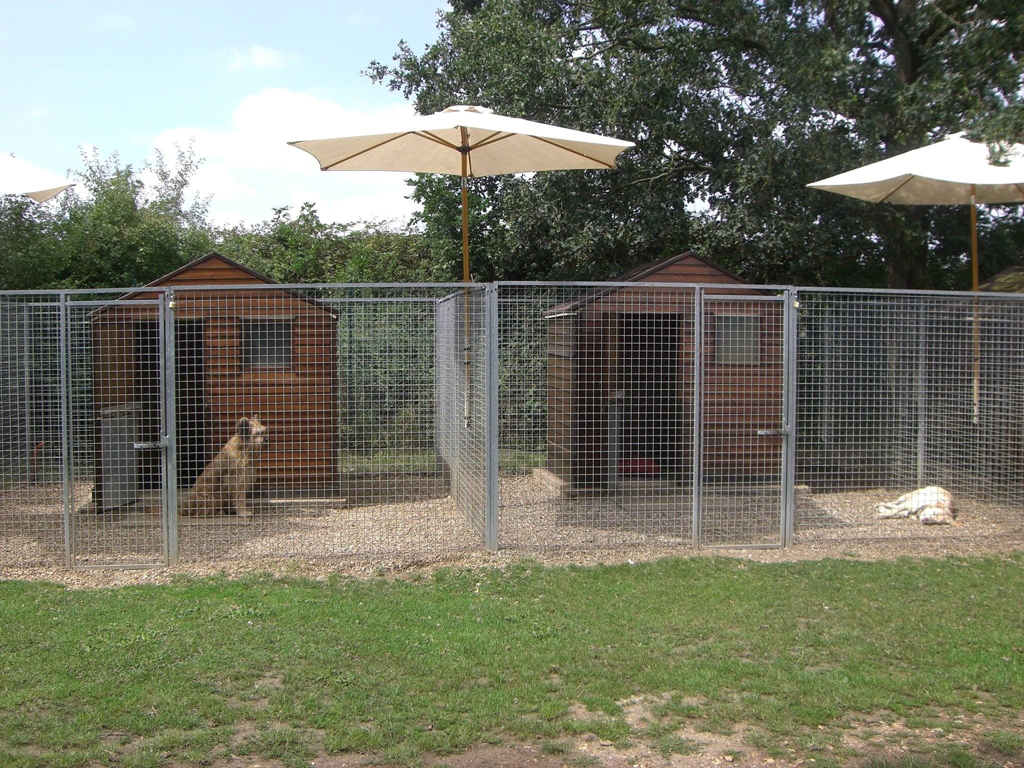 Aux Câlins Canins — photo