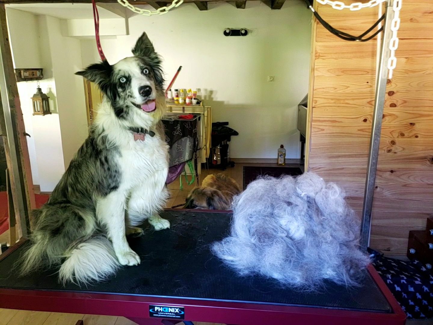 La griffe en coton — photo