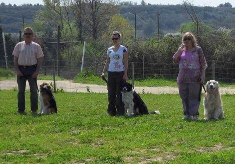 Dressage Canin Nicolas Mora
