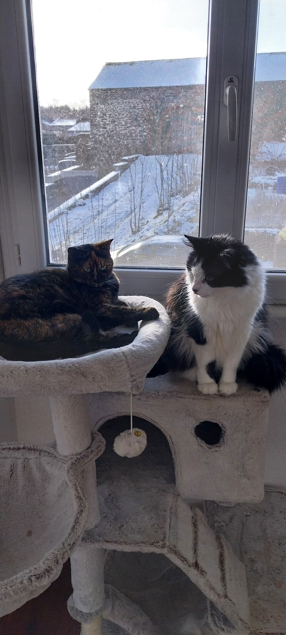 La Maison du Bonheur - garde d'animaux — photo