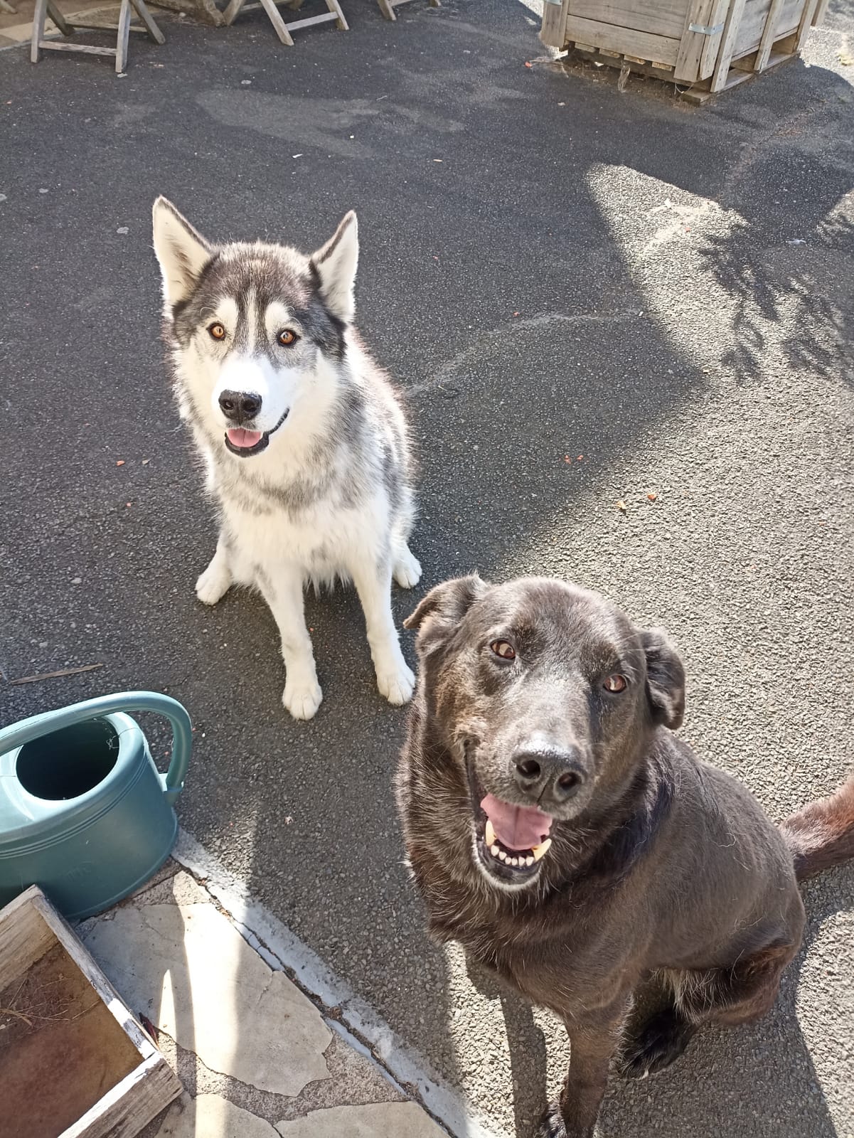Bou & You - Au service des animaux — photo