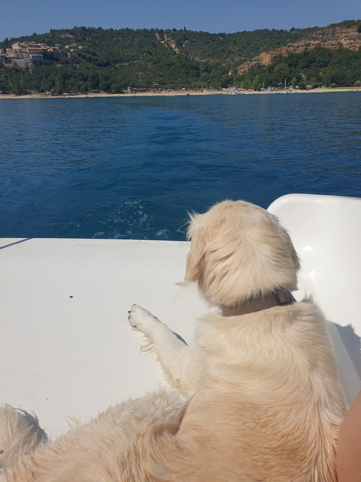 Pension Canine "Atout Les toutous " — photo