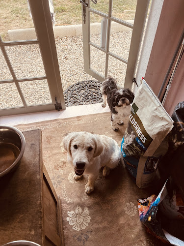 Villa Canina 36 pension canine familiale