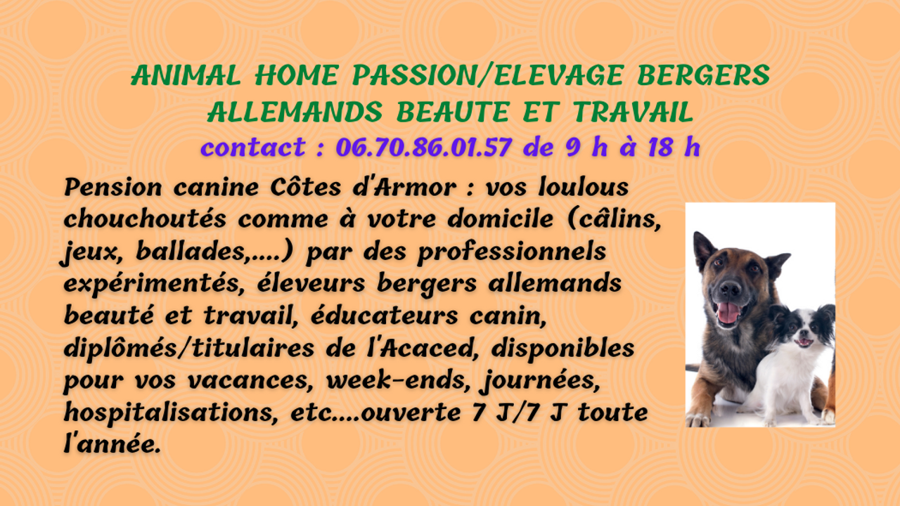Animal Home Passion