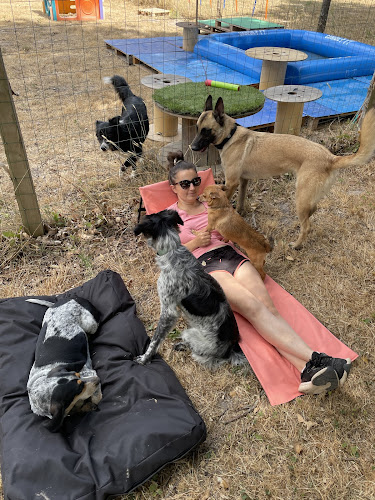 Ali & Paws - Services animaliers