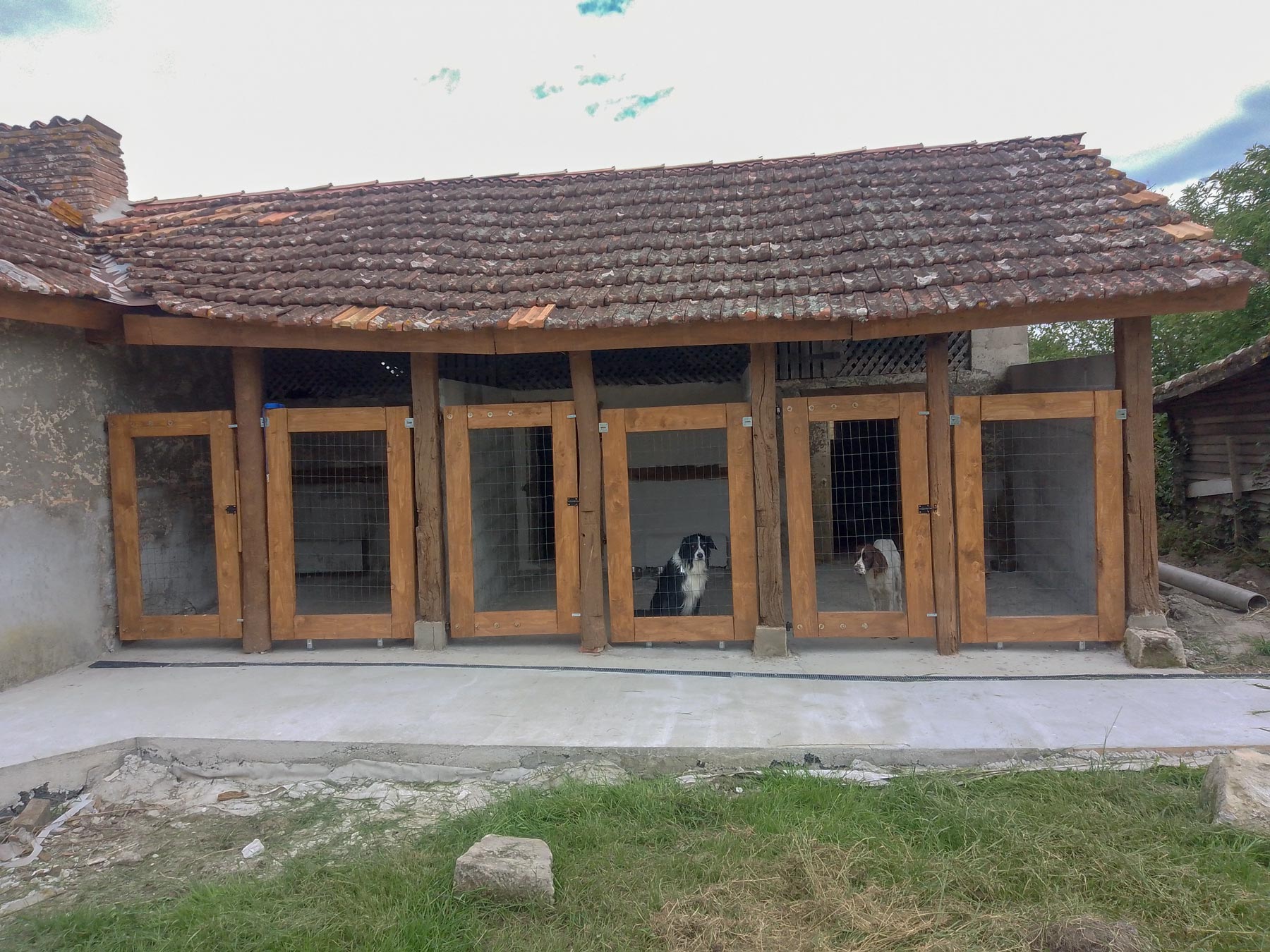 David Petsitter — photo