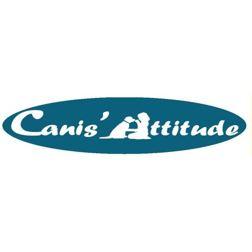 Canis'Attitude : pension canine, éducation, médiation — photo