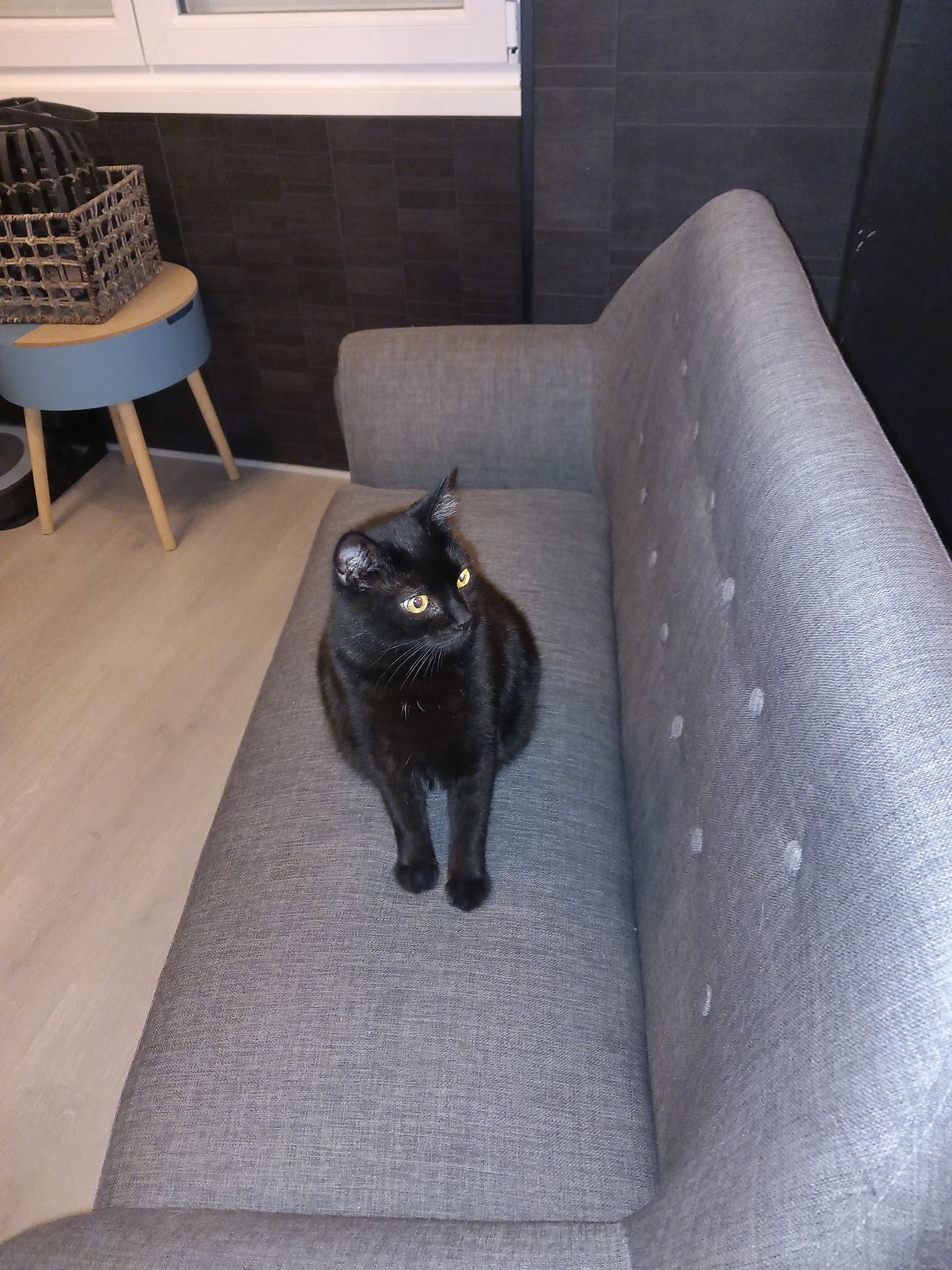 Le foyer des compagnons — photo