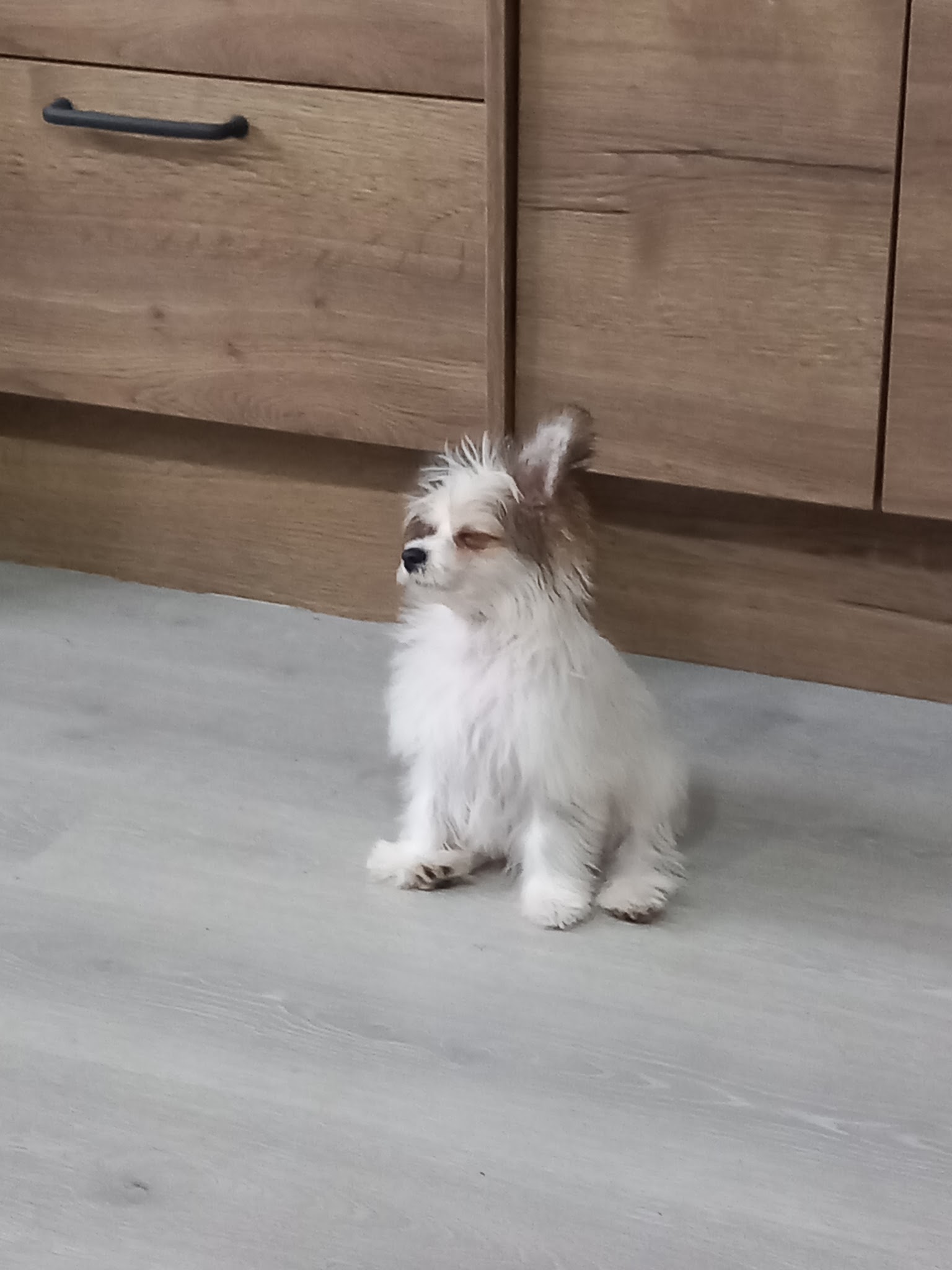 Le foyer des compagnons — photo