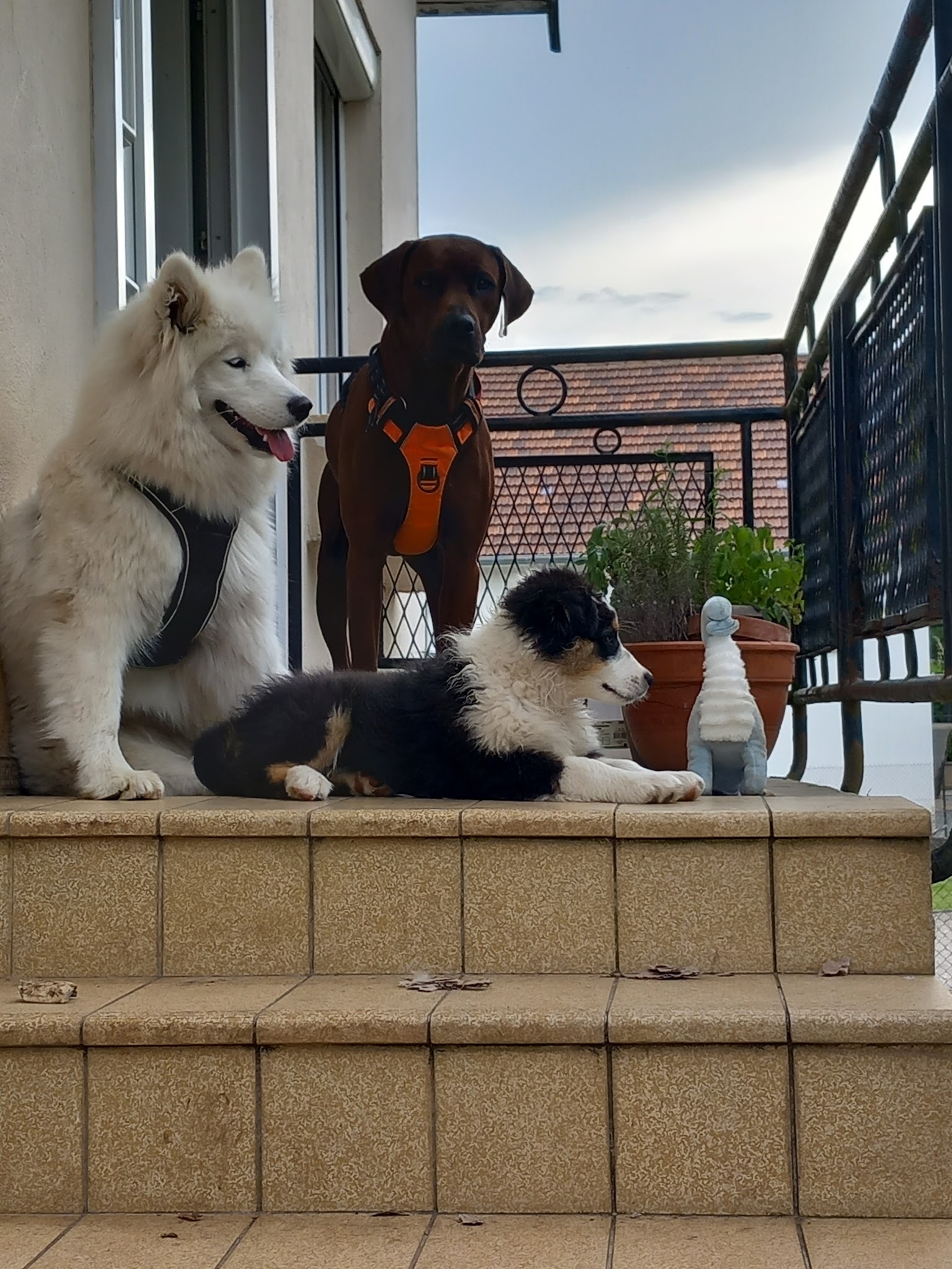 Le foyer des compagnons