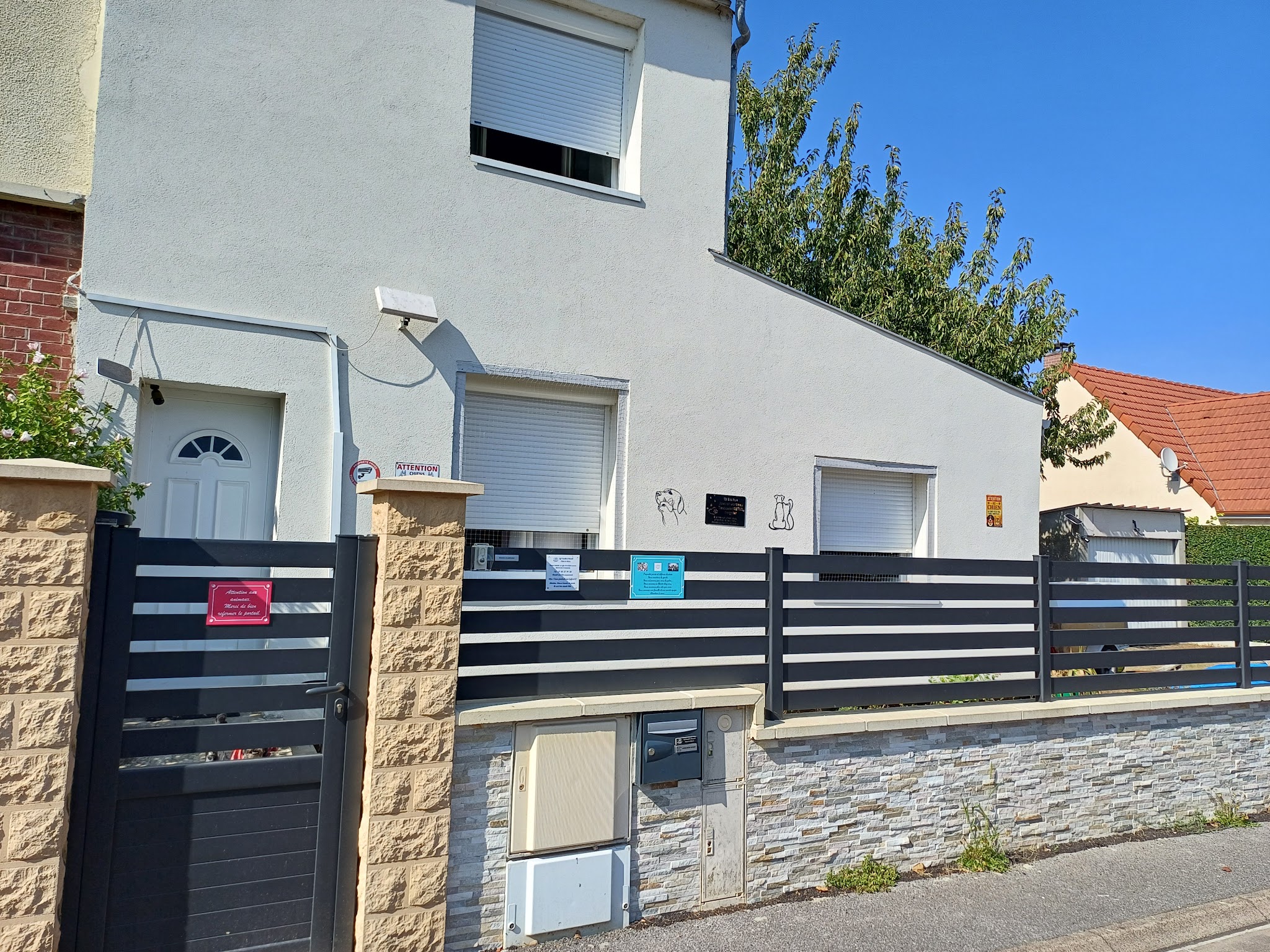 Syl Famille D'Accueil Chats et Chiens