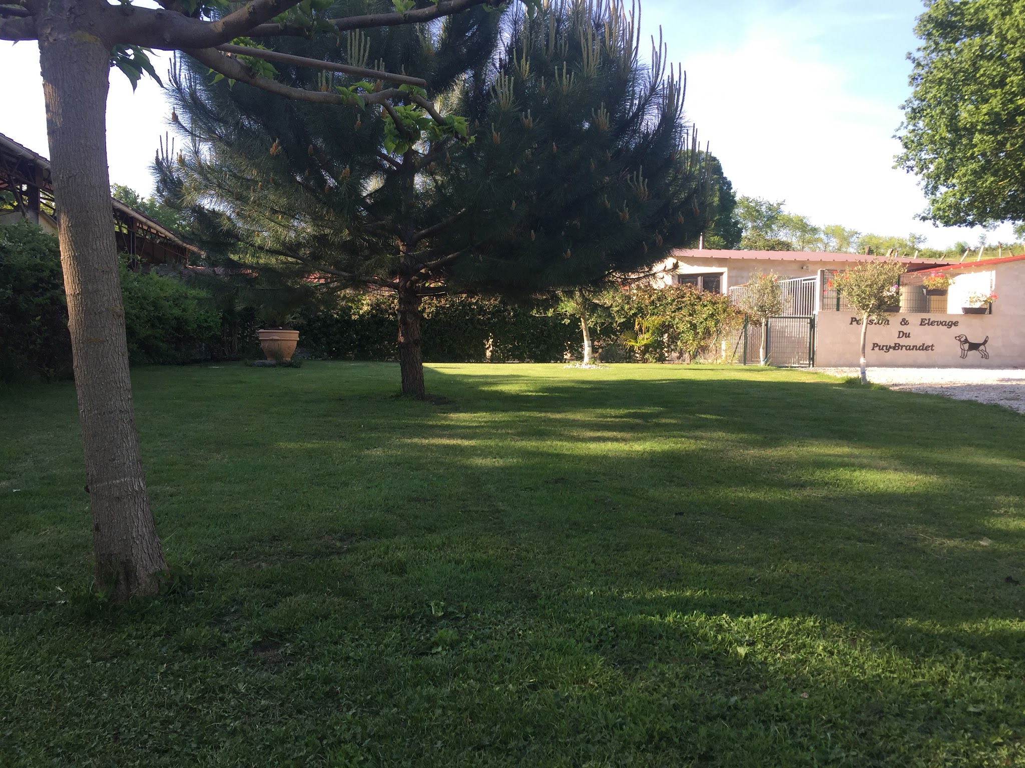 Pension Canine du Puy Brandet — photo
