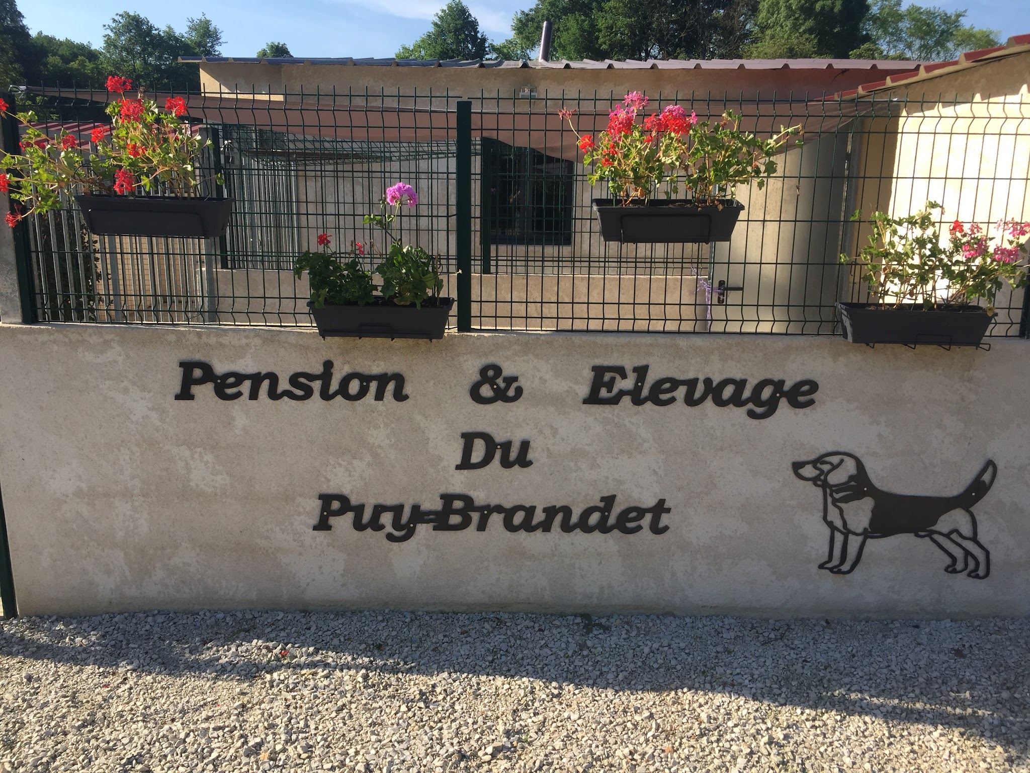 Pension Canine du Puy Brandet — photo