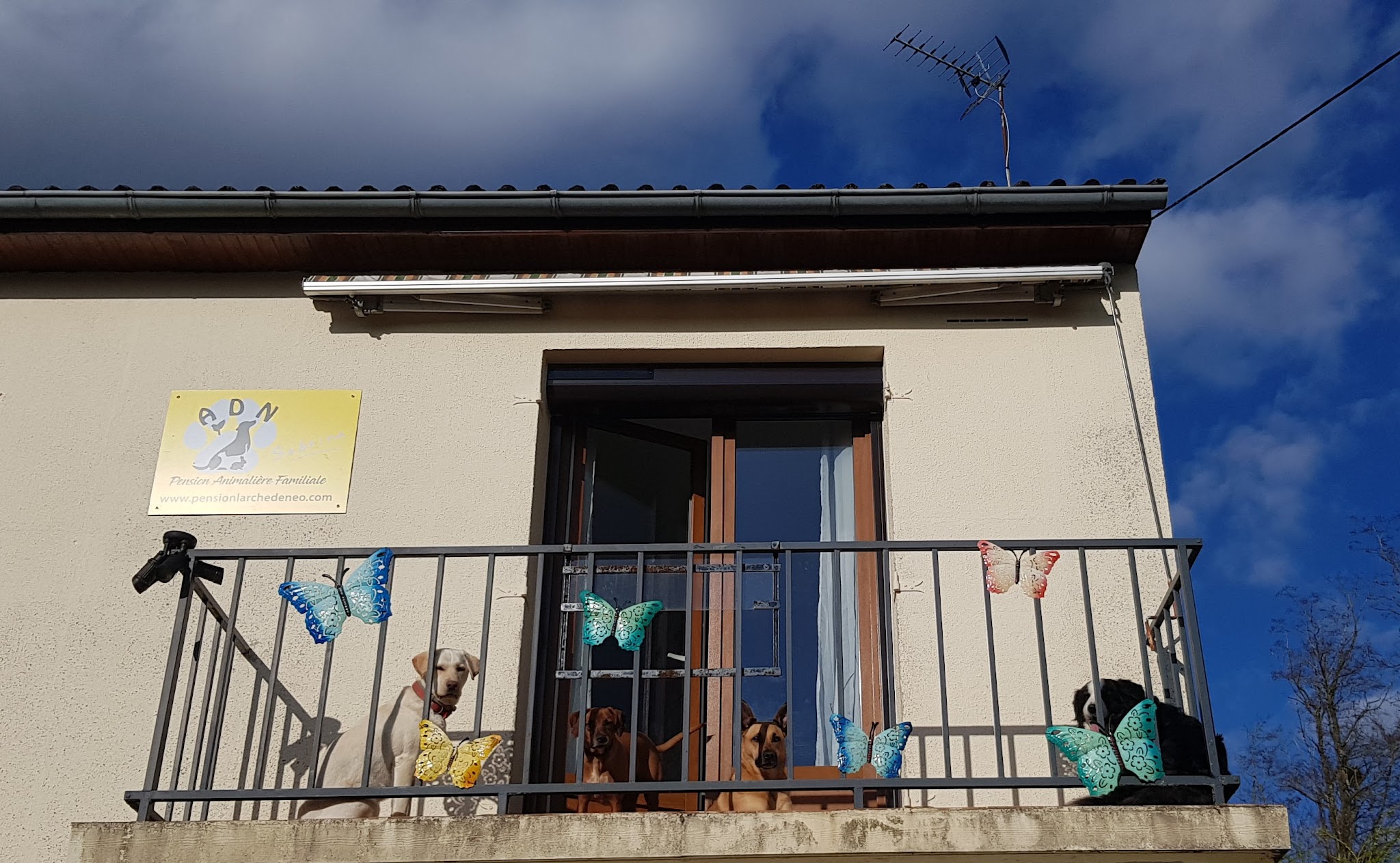 L'Arche De Néo — photo