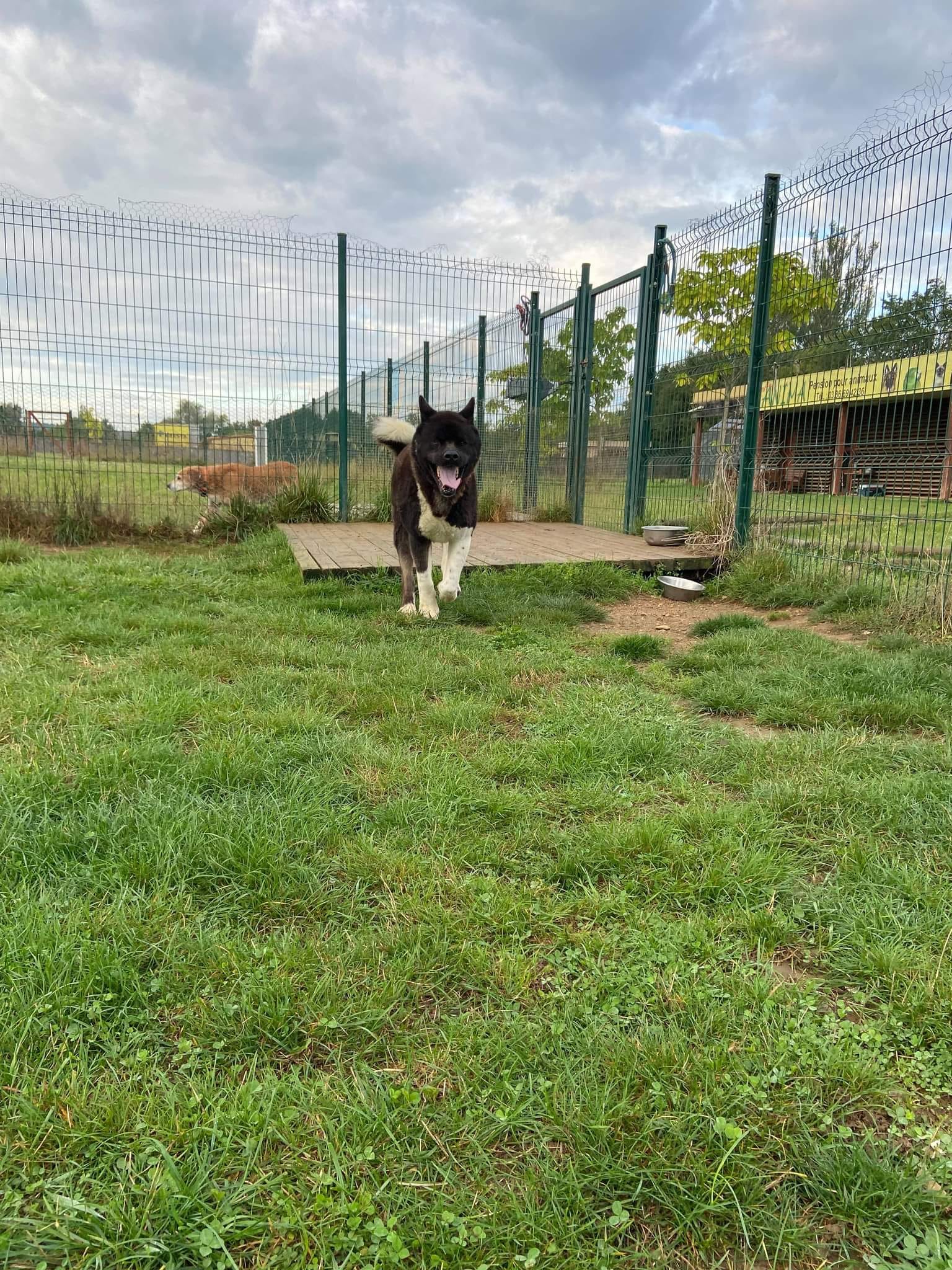 Anima-Pension pour animaux Challuy — photo