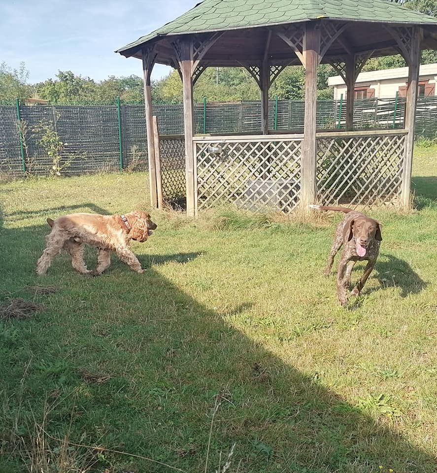 Anima-Pension pour animaux Challuy — photo