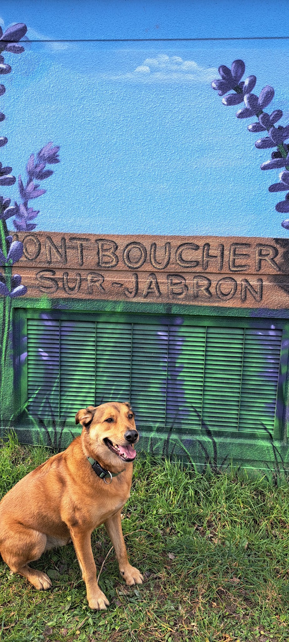 Petsitter Sophiélla, garde d animaux à votre domicile — photo
