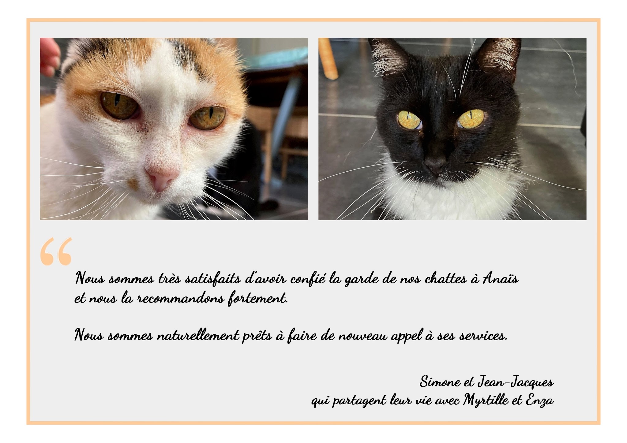 Miaou Superstar — photo