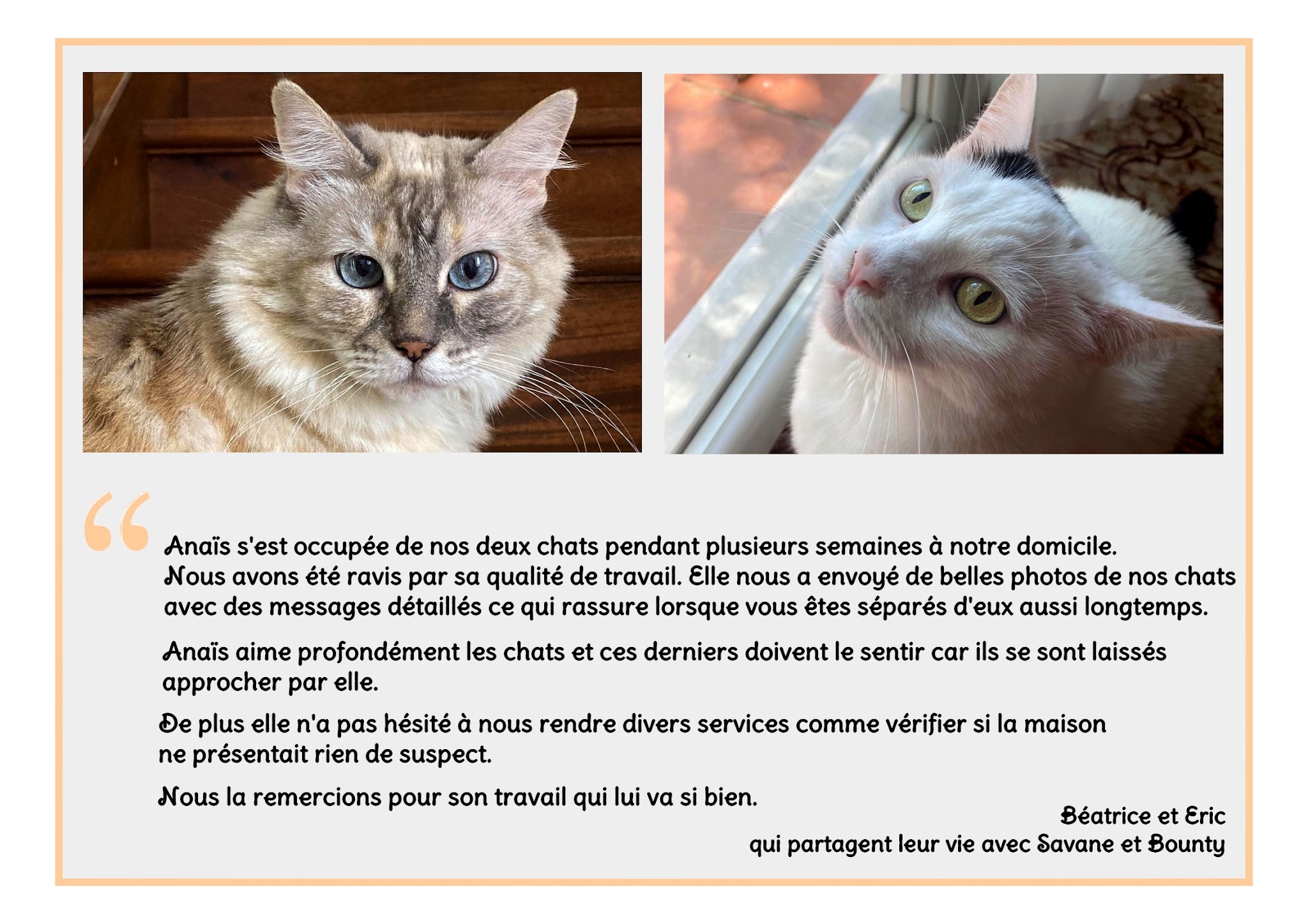 Miaou Superstar — photo