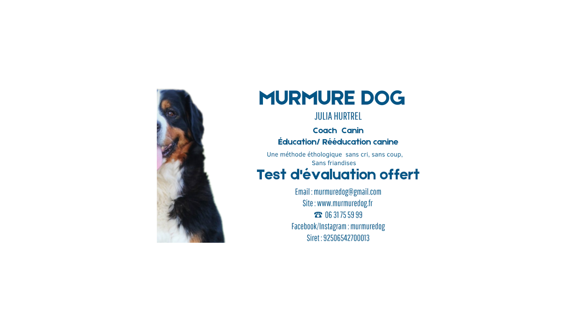 Murmure dog — photo