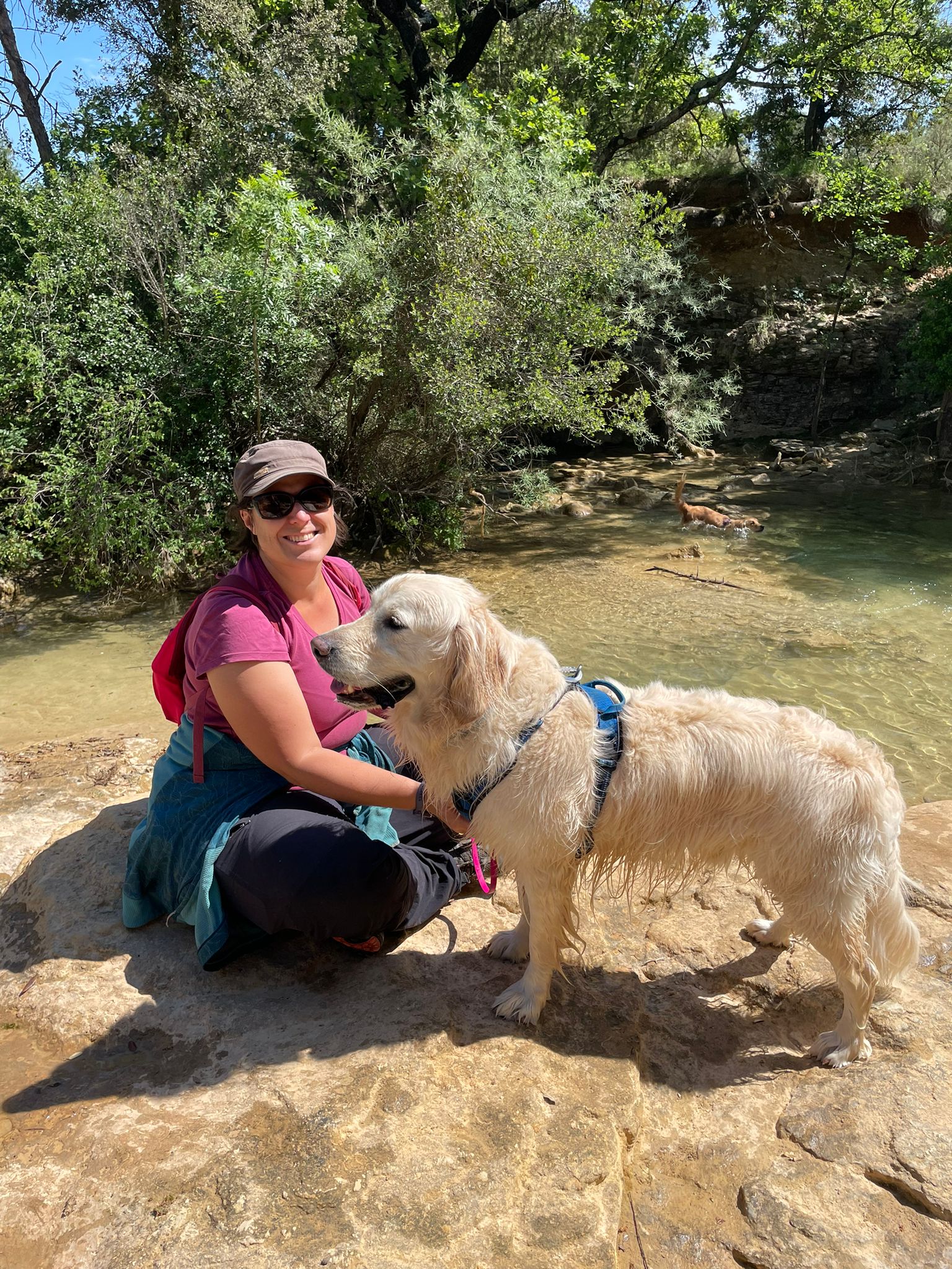 Em' & Les Animaux - Éducation & comportement canin - Services pour animaux domestiques — photo