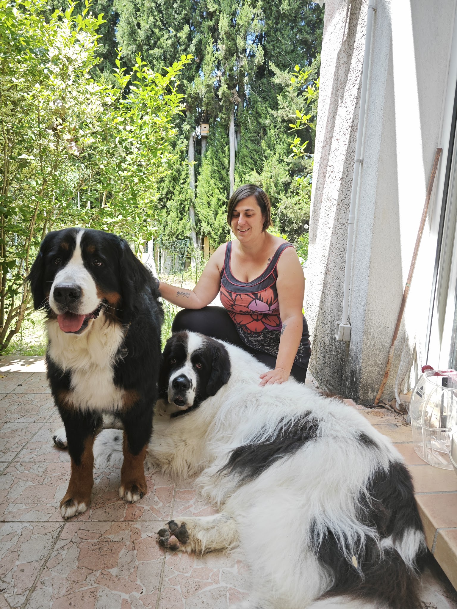 Em' & Les Animaux - Éducation & comportement canin - Services pour animaux domestiques — photo