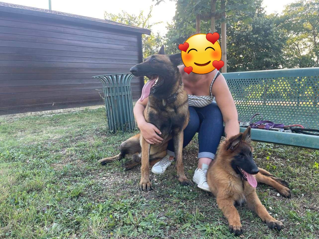 Les Loups du Ranch — photo