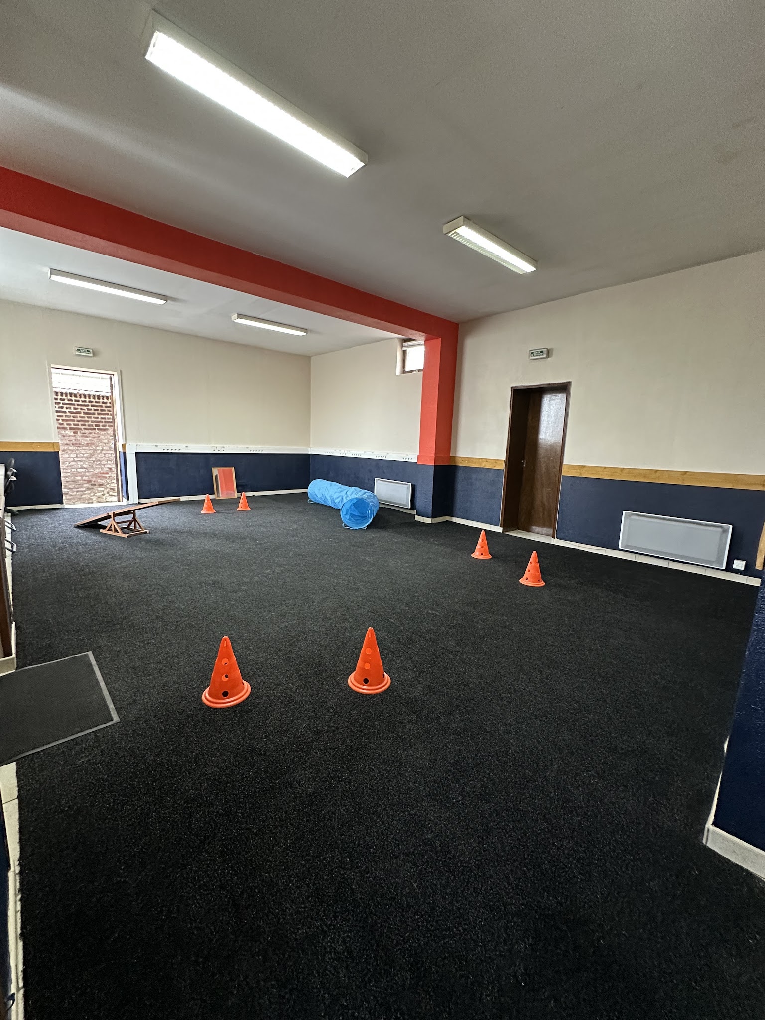 Galaxy Dog Cambrai - Centre de loisirs canin et d'éducation canine — photo
