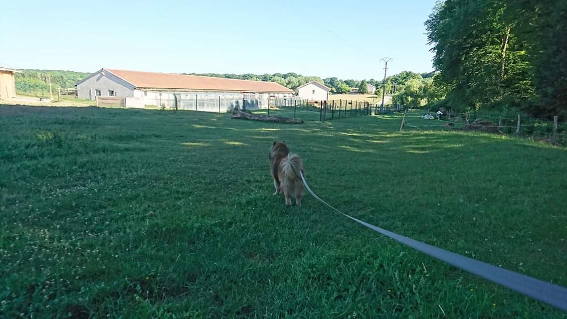 Domaine du Hêtre au Loup — photo