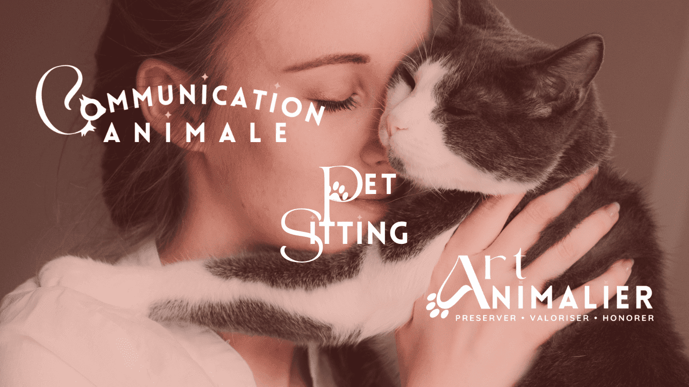 Meowsotis pet sitting Annecy - art animalier & communication animale avec Justine