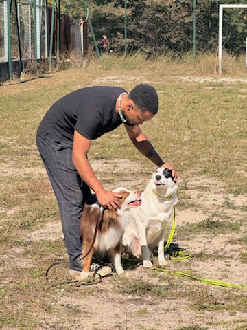 ACE Expertise Canine Yvelines - Éducateur canin spécialisé / Comportementaliste - Pension familiale🐕 — photo