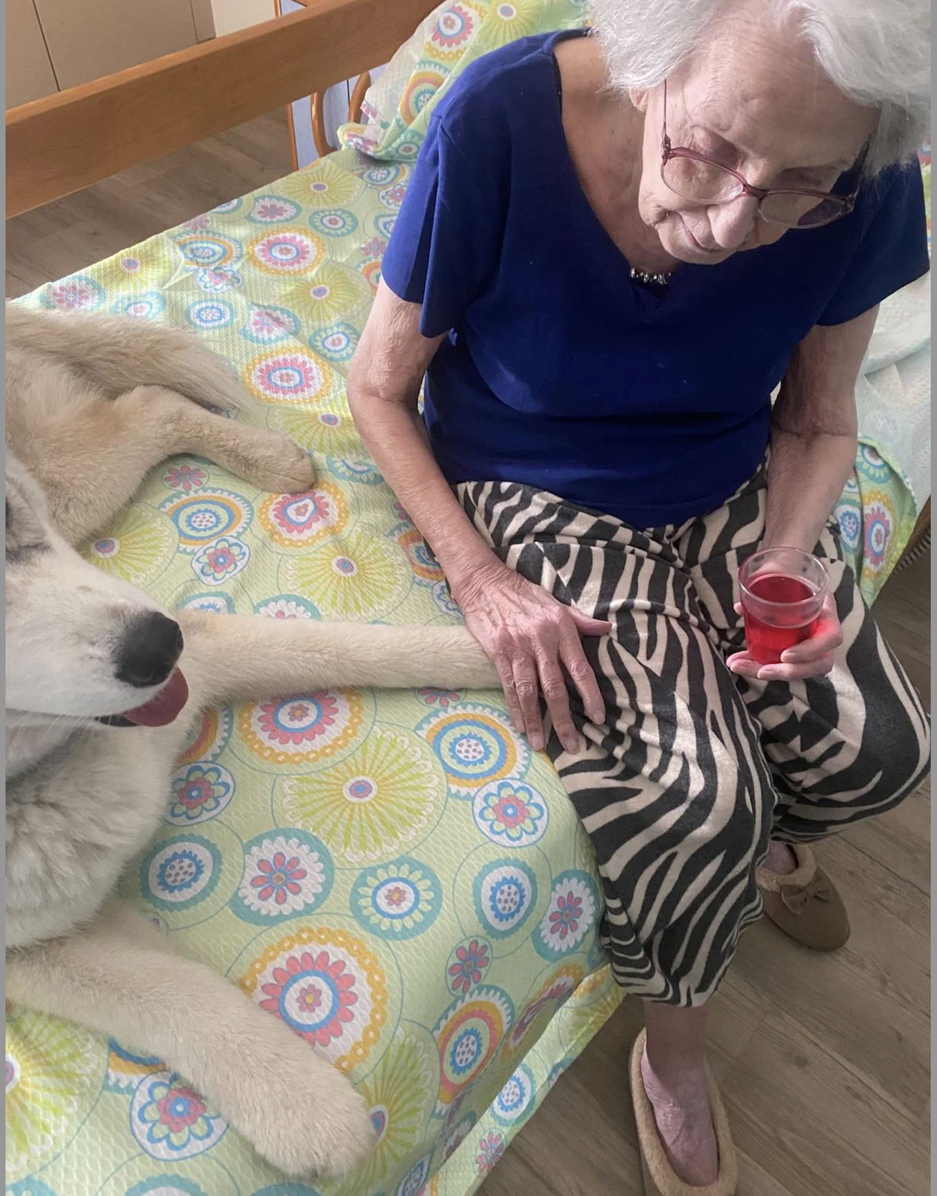 The way of dog - Education canine — photo