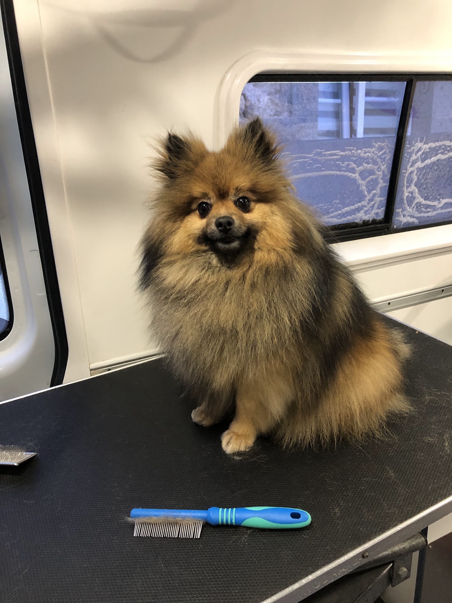L'Anima'Mobile — photo