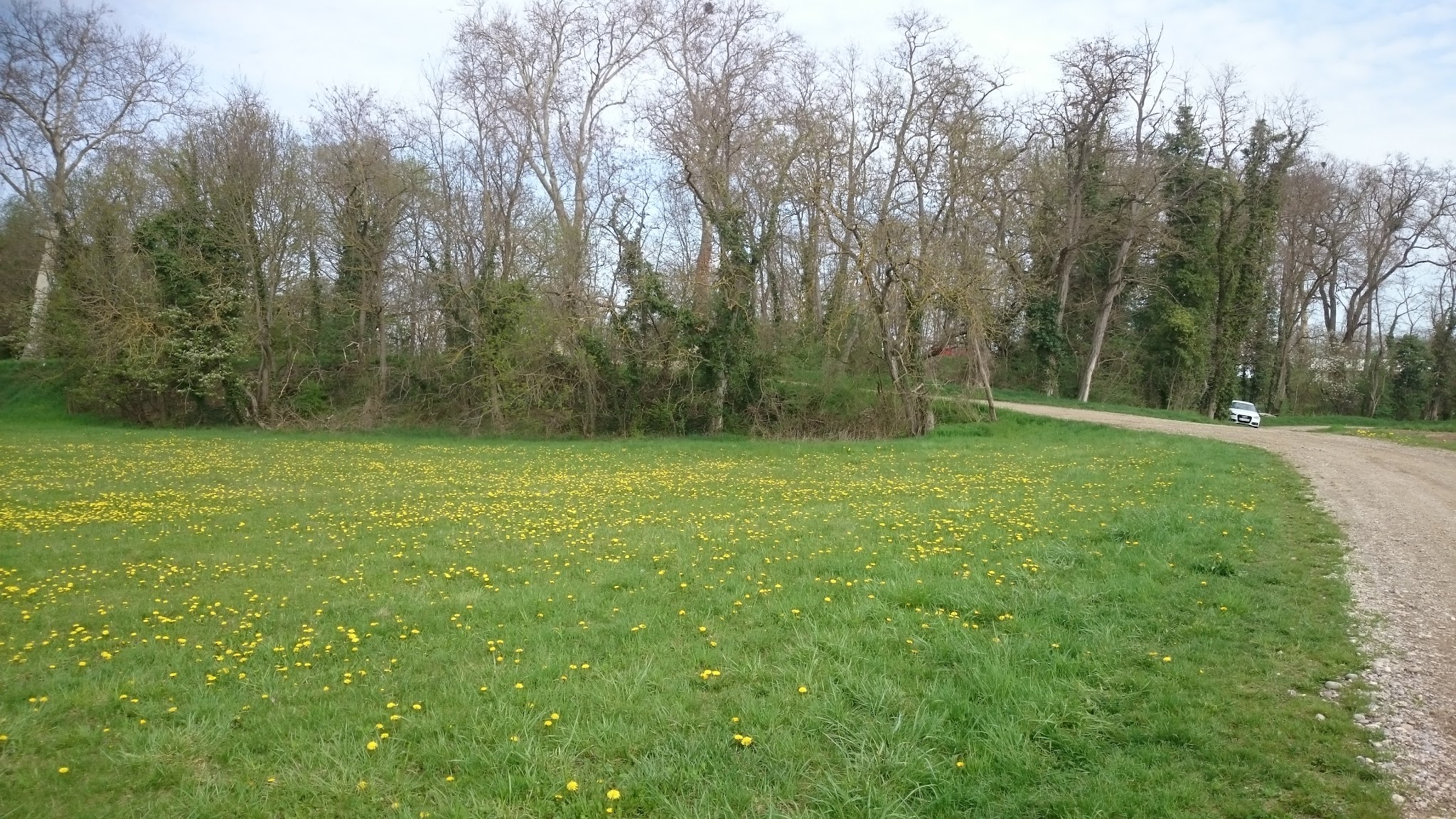 Mont Sorcier — photo