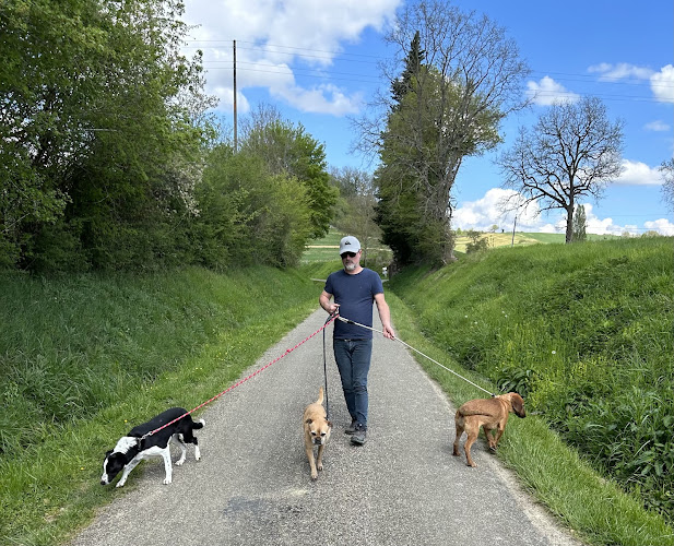 CANIJALIS - Maison de vacances pour chiens