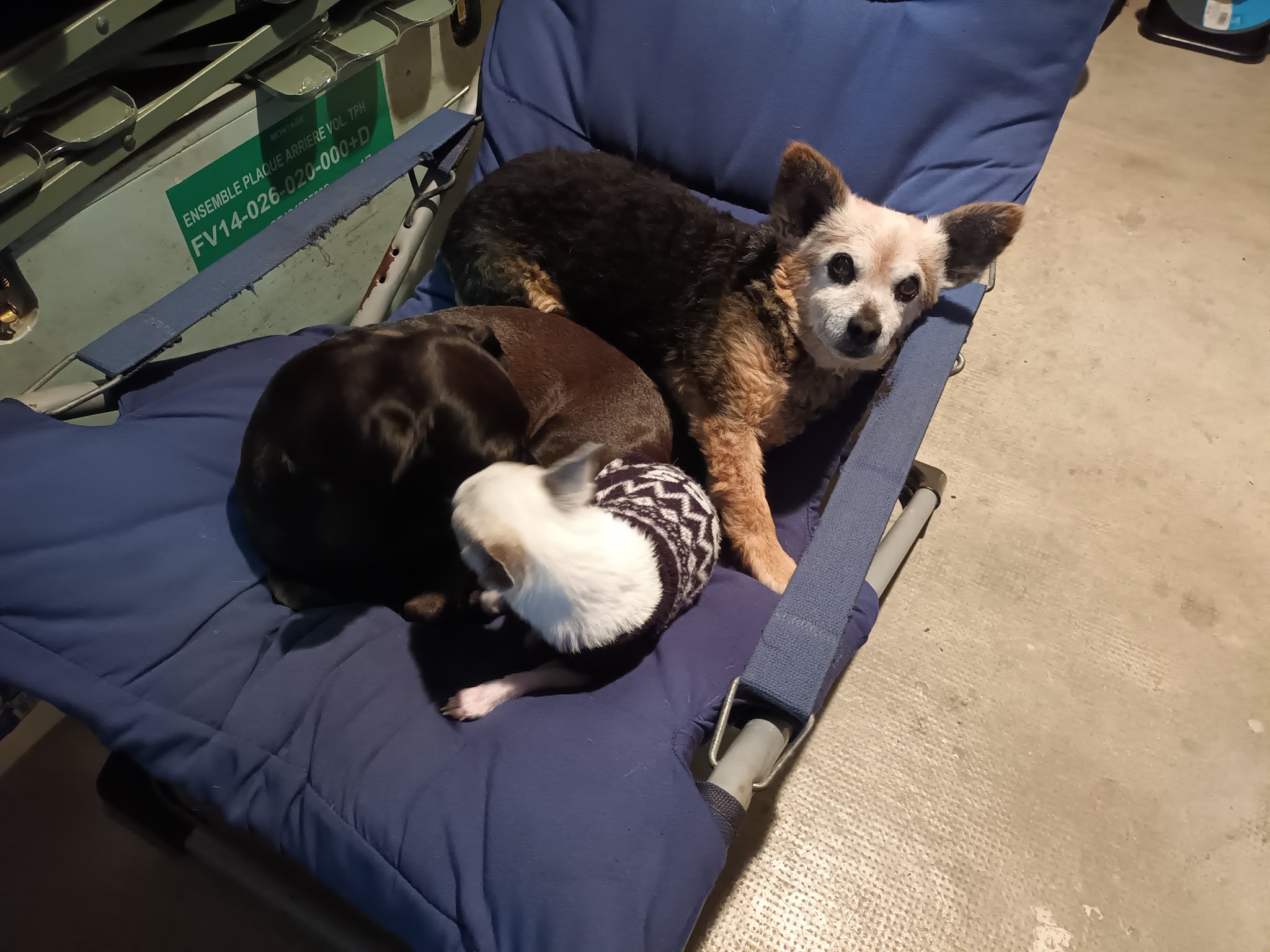 CANIJALIS - Maison de vacances pour chiens — photo