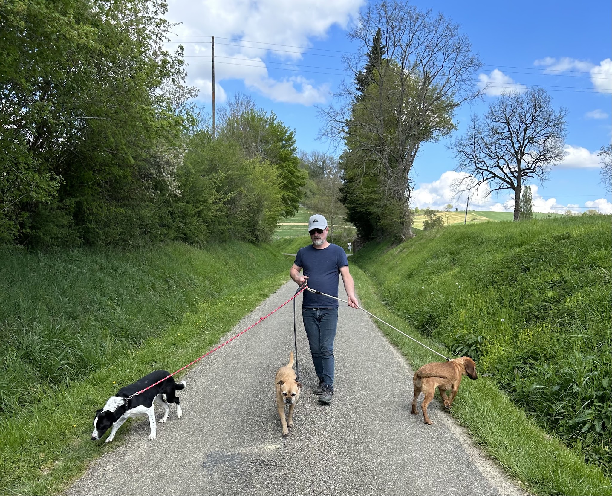 CANIJALIS - Maison de vacances pour chiens — photo