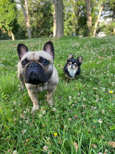 Chez Plume et Floppy