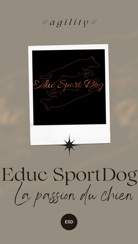 EDUC SPORT DOG — photo