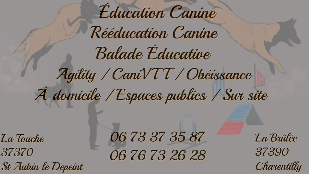 EDUC SPORT DOG