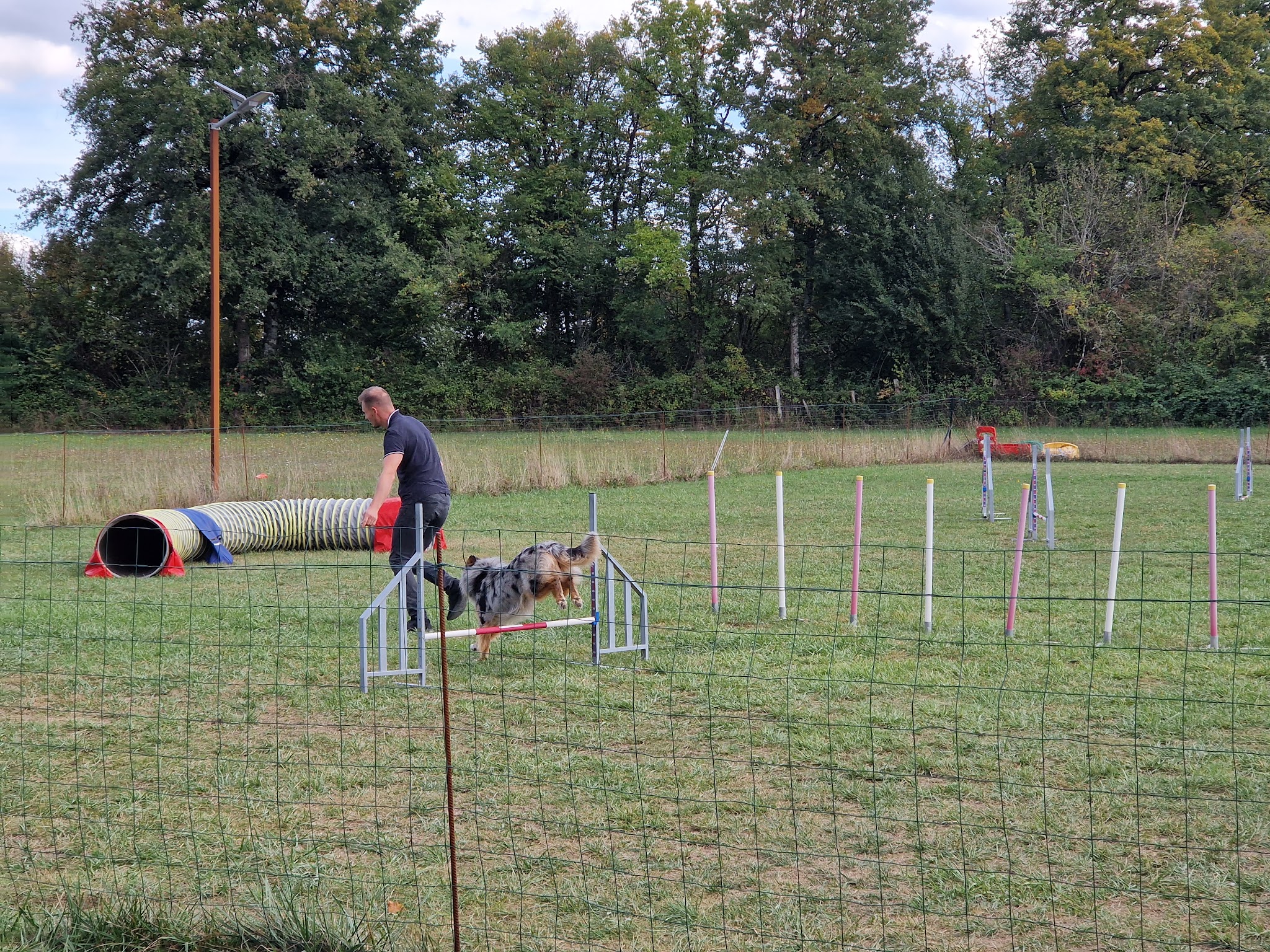 EDUC SPORT DOG — photo