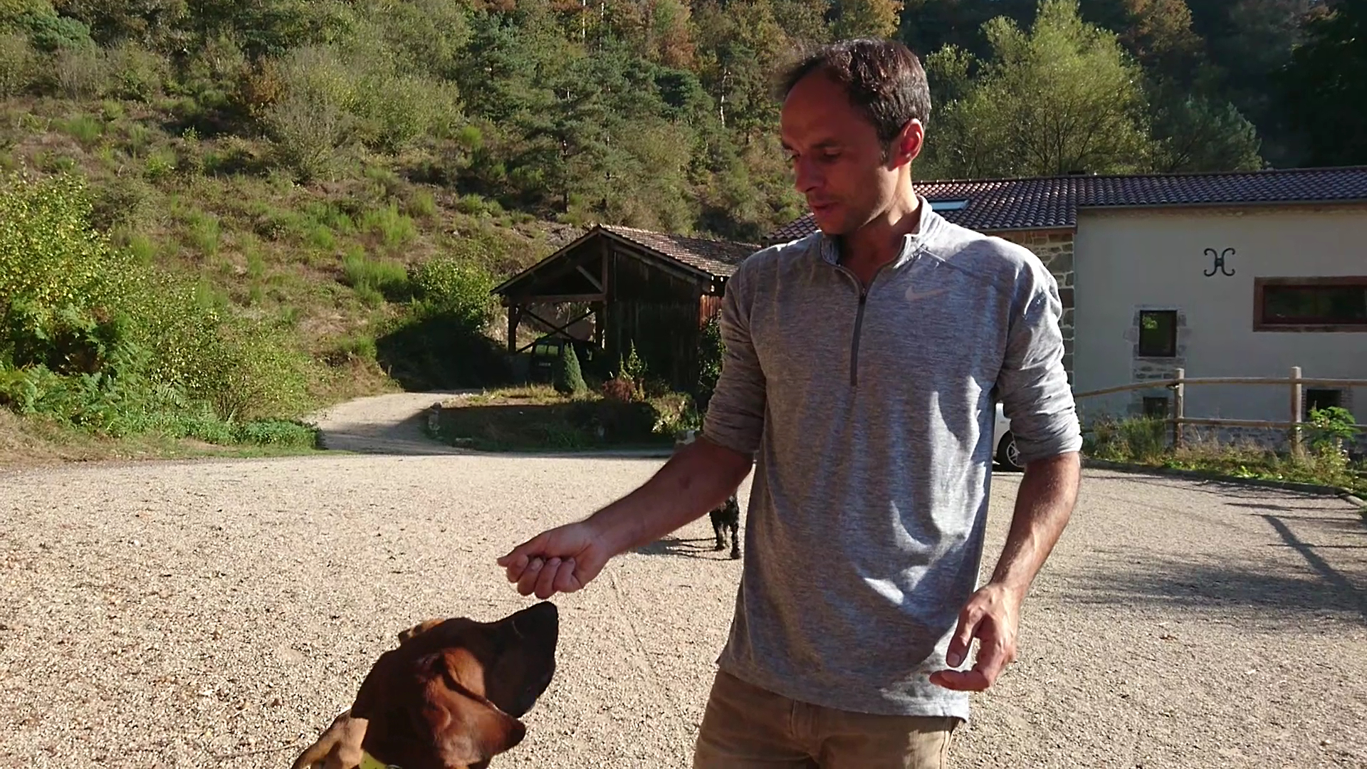 Chien malin | L'école du chiot et éducation canine — photo