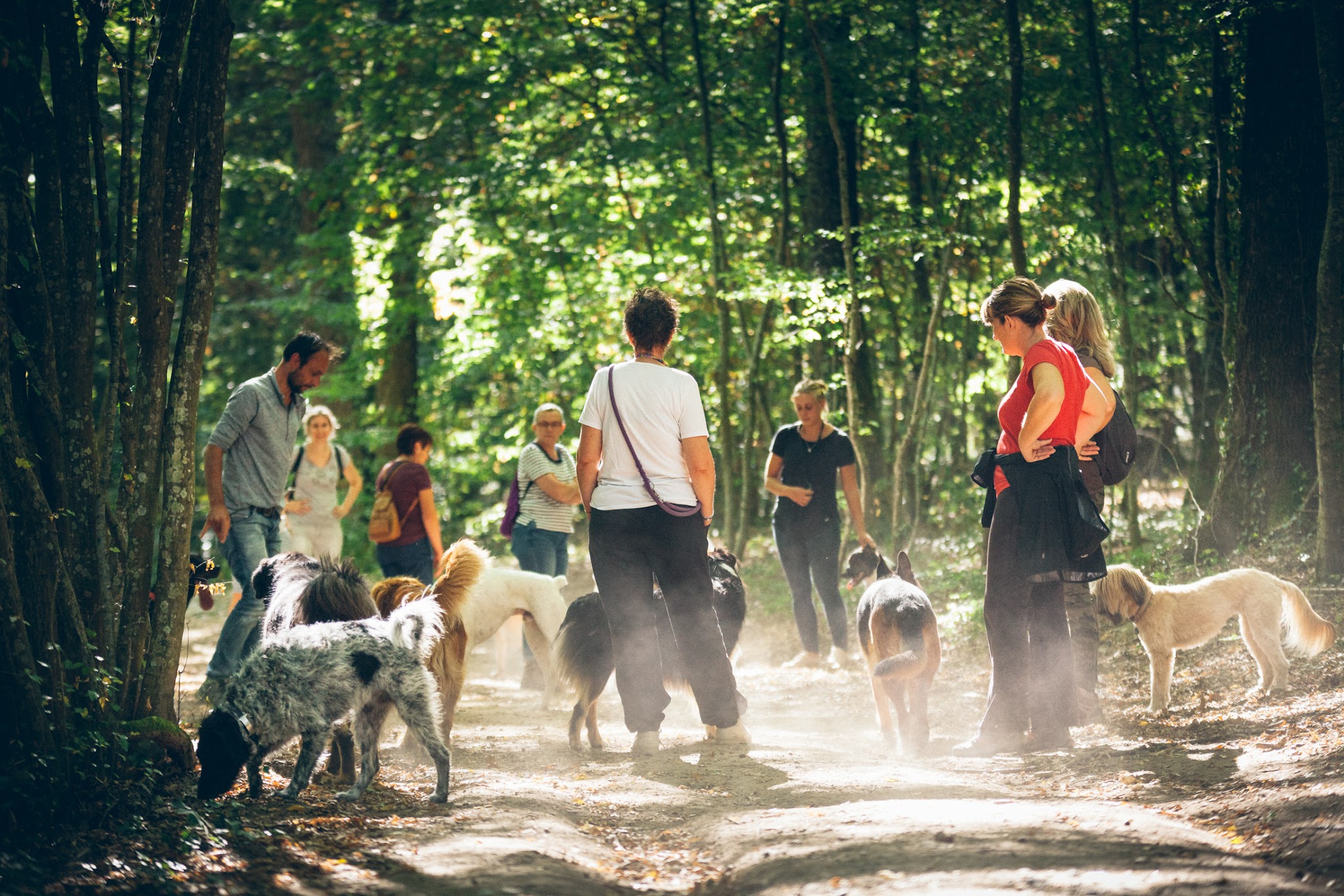 Chien malin | L'école du chiot et éducation canine — photo